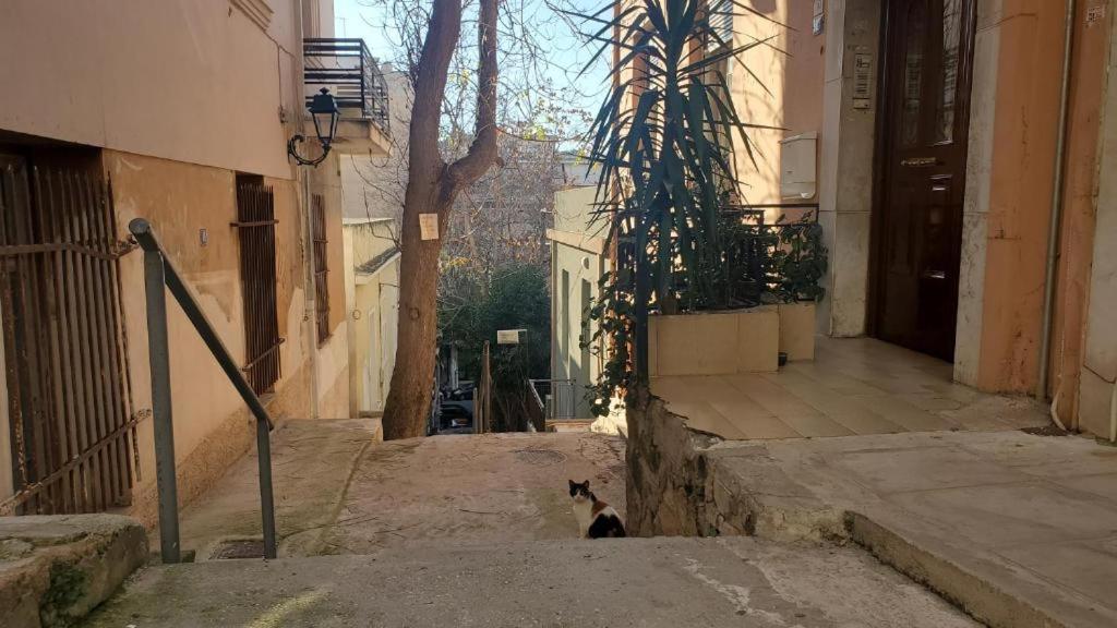 Athens City Center Luxury Suites Eksteriør billede